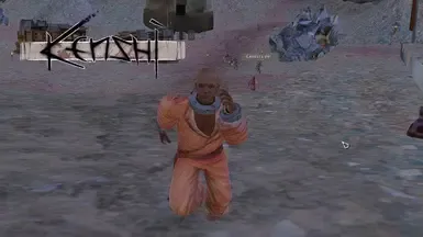 Recruit_Rebirth_Fix