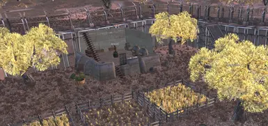 植树 - 修改版