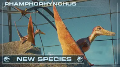 Rhamphorhynchus - 新物种 (1.11)