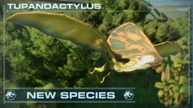 Tupandactylus - 新物种 (1.11)
