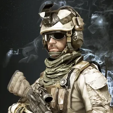 更多BF3语音
