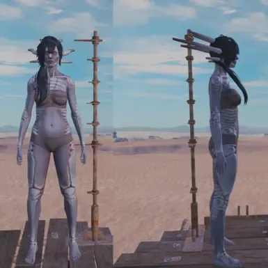 较不尖刺的谢克女性
