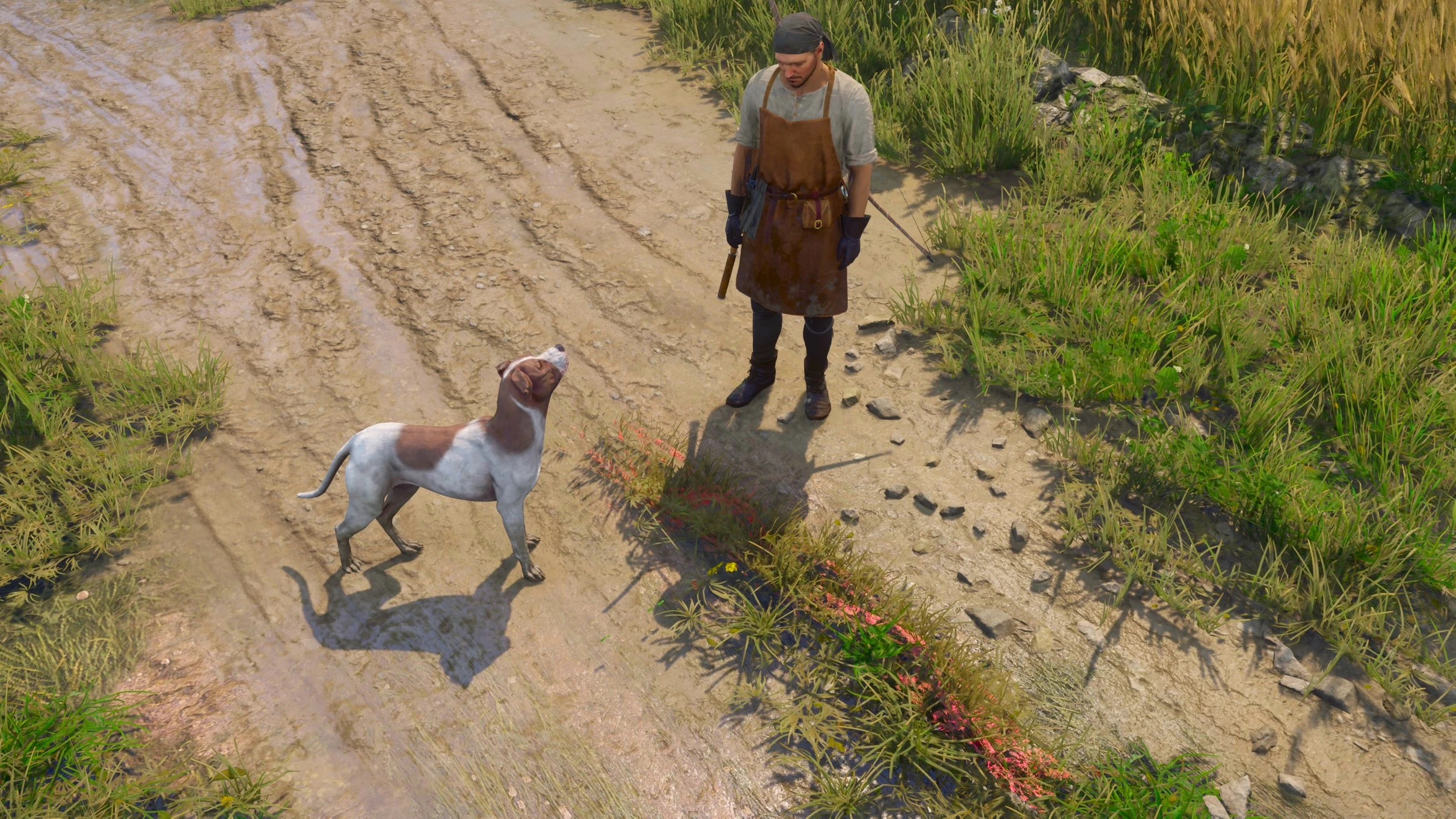 Red Grass Color Fix