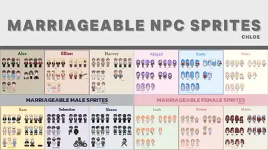 可结婚NPC精灵图