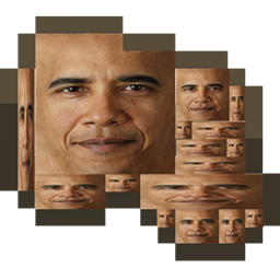 One-Obamium+