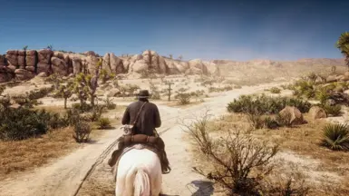 Red Dead Redemption 2 照片级真实感 Reshade