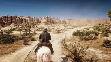 Red Dead Redemption 2 照片级真实感 Reshade