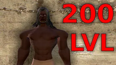 LVL 200 最大