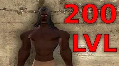 LVL 200 最大