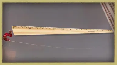 Long-Webs (摆荡距离)