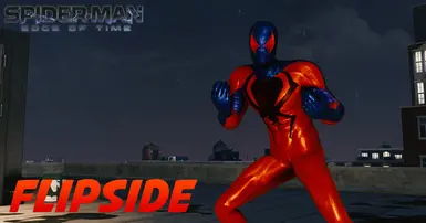 Flipside
反面