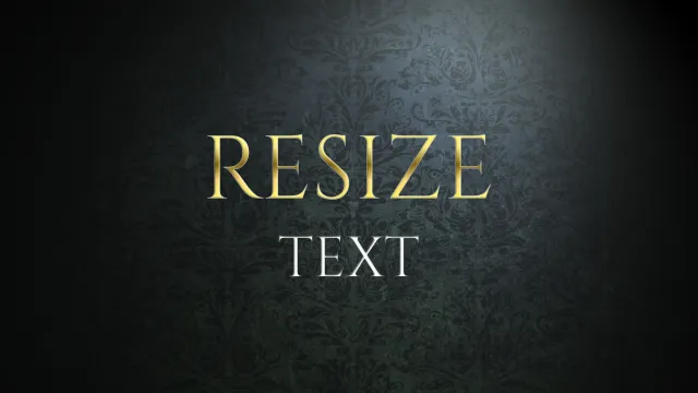ResizeText - HUD 文本与图标缩放器