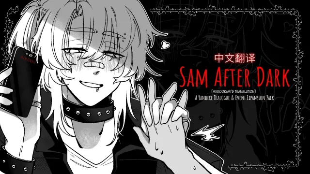 Sam After Dark - Chinese translation
