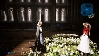 FOV Plus