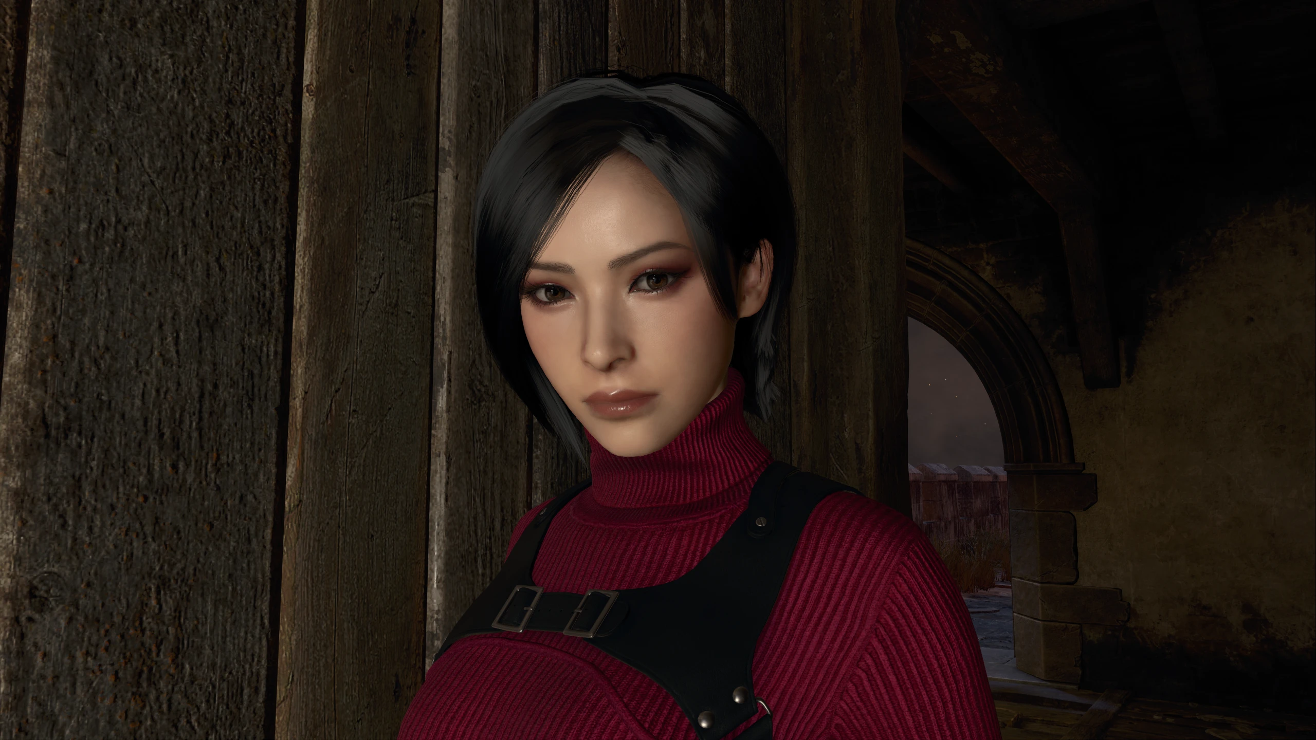 RE2R 艾达的眼睛