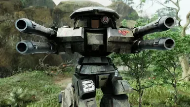 Rifleman IIC (经典)