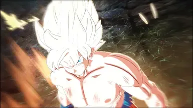 Goku的娜美克星终结服装