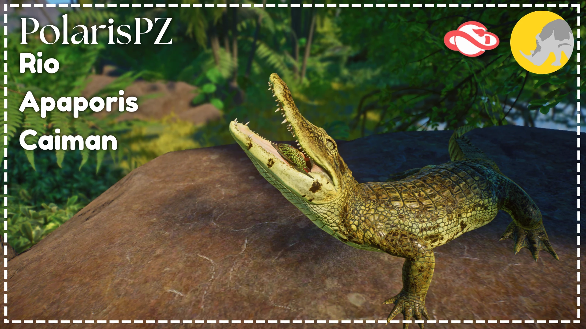 Rio Apaporis Caiman - 新物种 (1.20)