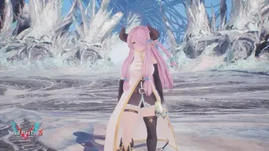 Narmaya 替换 Vergil