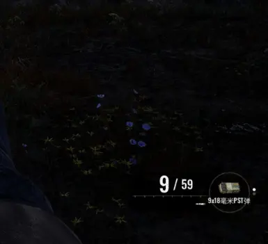 Stalker 2 社区中文翻译