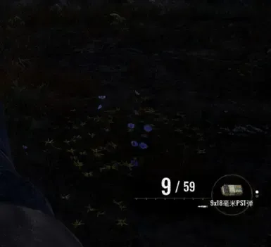 Stalker 2 社区中文翻译