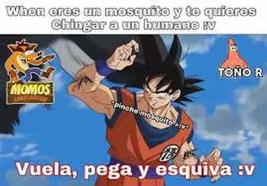 VUELA PEGA Y ESQUIVA (动漫版) 拉丁美洲西班牙语