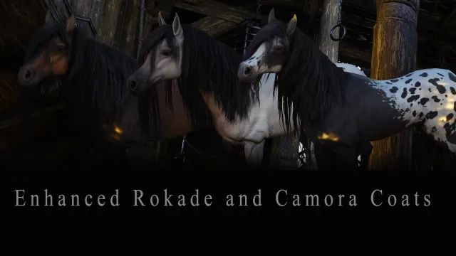 增强型Rokade和Camora外套