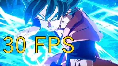 30 fps (Engine.ini)