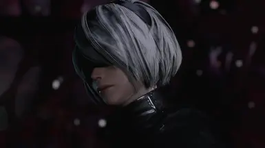 2B 对 Boss 维吉尔的语音台词
