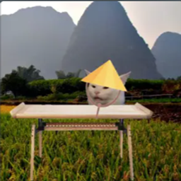 坦斯拉:起源
