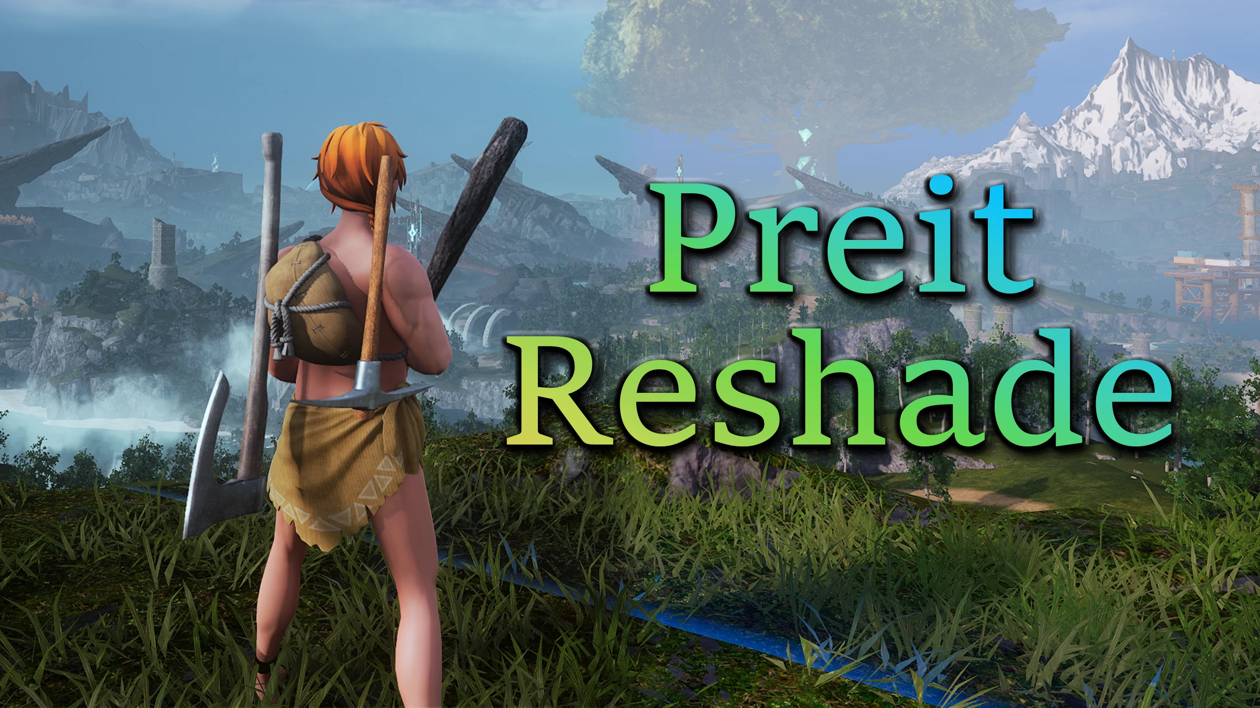 Preit Reshade