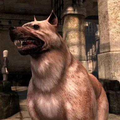 Ishs Tougher Dog