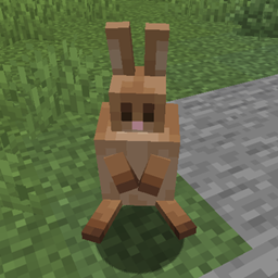 RabbitFixMod