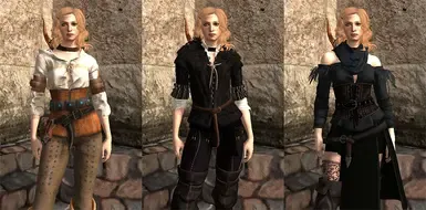 Witcher 3 - 希里与叶奈法的服装适用于女性霍克(外加夏妮)