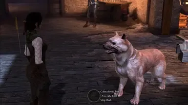 改良的玛巴里犬模型