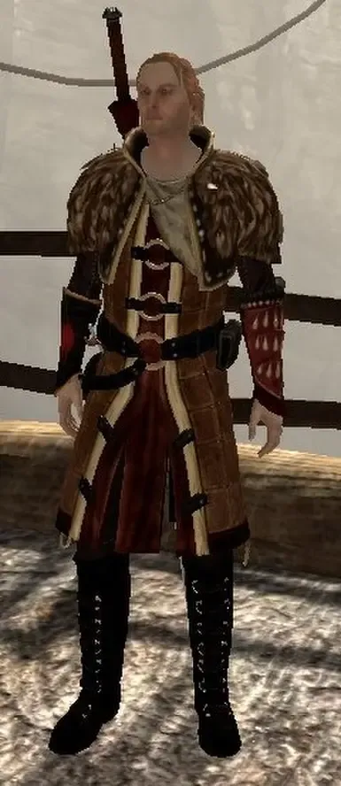 Timeskip 同伴服装独立替换模组