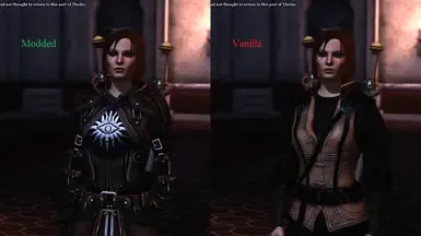 Leliana Armor Replacer