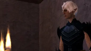 Fenris HR 莱瑞姆幽灵与蓝色幽魂护甲