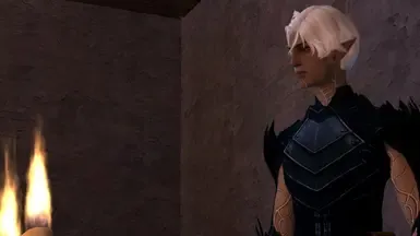 Fenris HR 莱瑞姆幽灵与蓝色幽魂护甲
