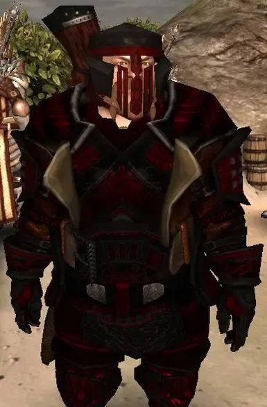 varric 重型护甲,包括比安卡