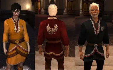 黑色与金色和红色衣服之家