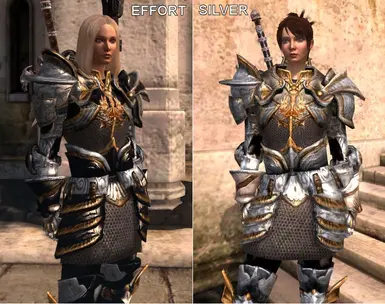 Warden Effort Armor for DA2