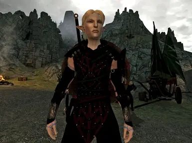 Dalls_Elves