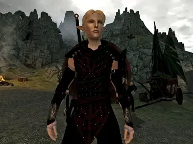 Dalls_Elves