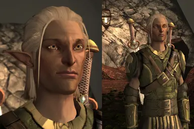 DA2 Zevran Fix