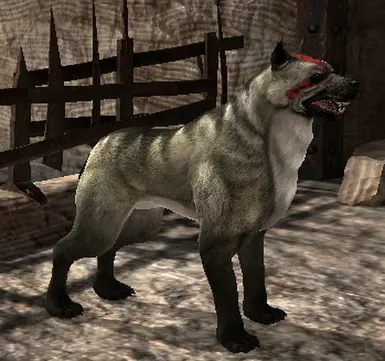 战犬