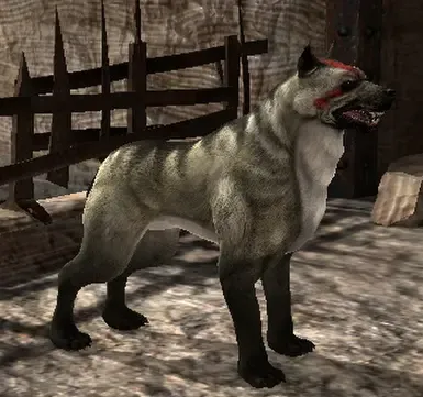 战犬