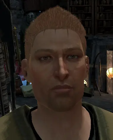 Alistair 与 Zevran 重制版
