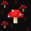 Beta Mushroom 正在传播