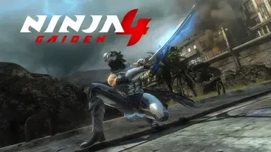 Ryu Hayabusa(NG4)